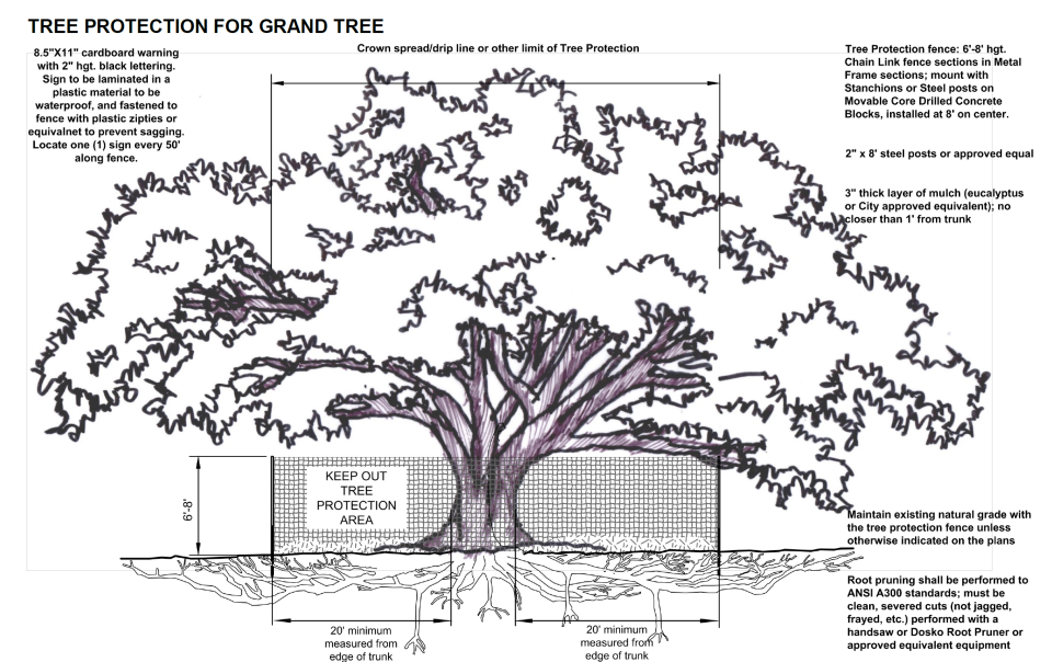 tampa grand tree protection detail